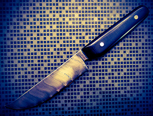 JN handmade chef knife CCW19b